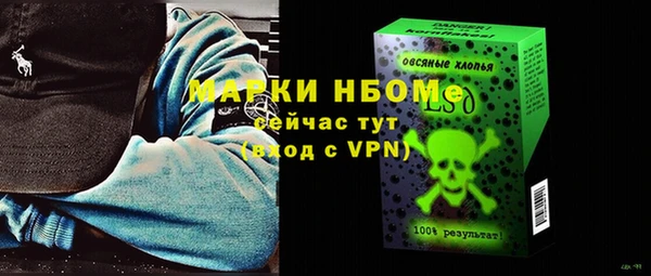 мдпв Богородск