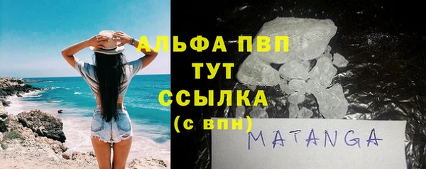 мдпв Богородск