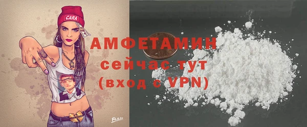 мдпв Богородск
